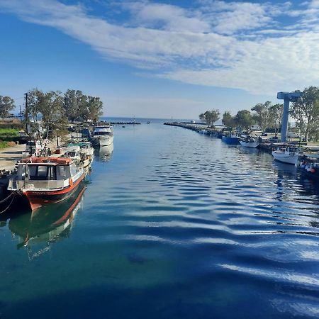 Gardenia - Morfi Village With Pool Exopoli Dış mekan fotoğraf